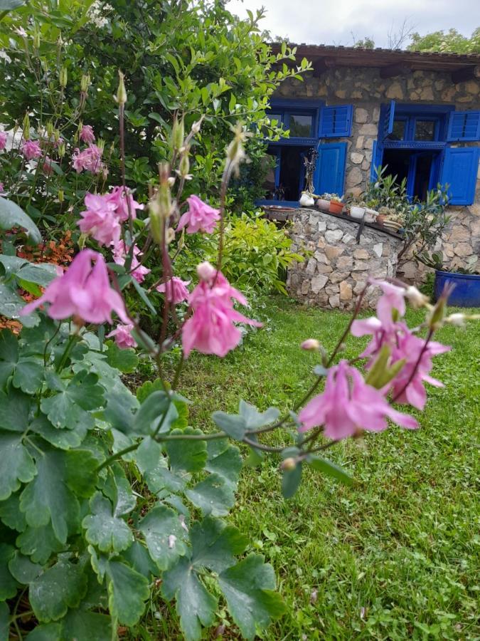 Casa Anca Cheile Nerei Villa Sokolar Екстериор снимка
