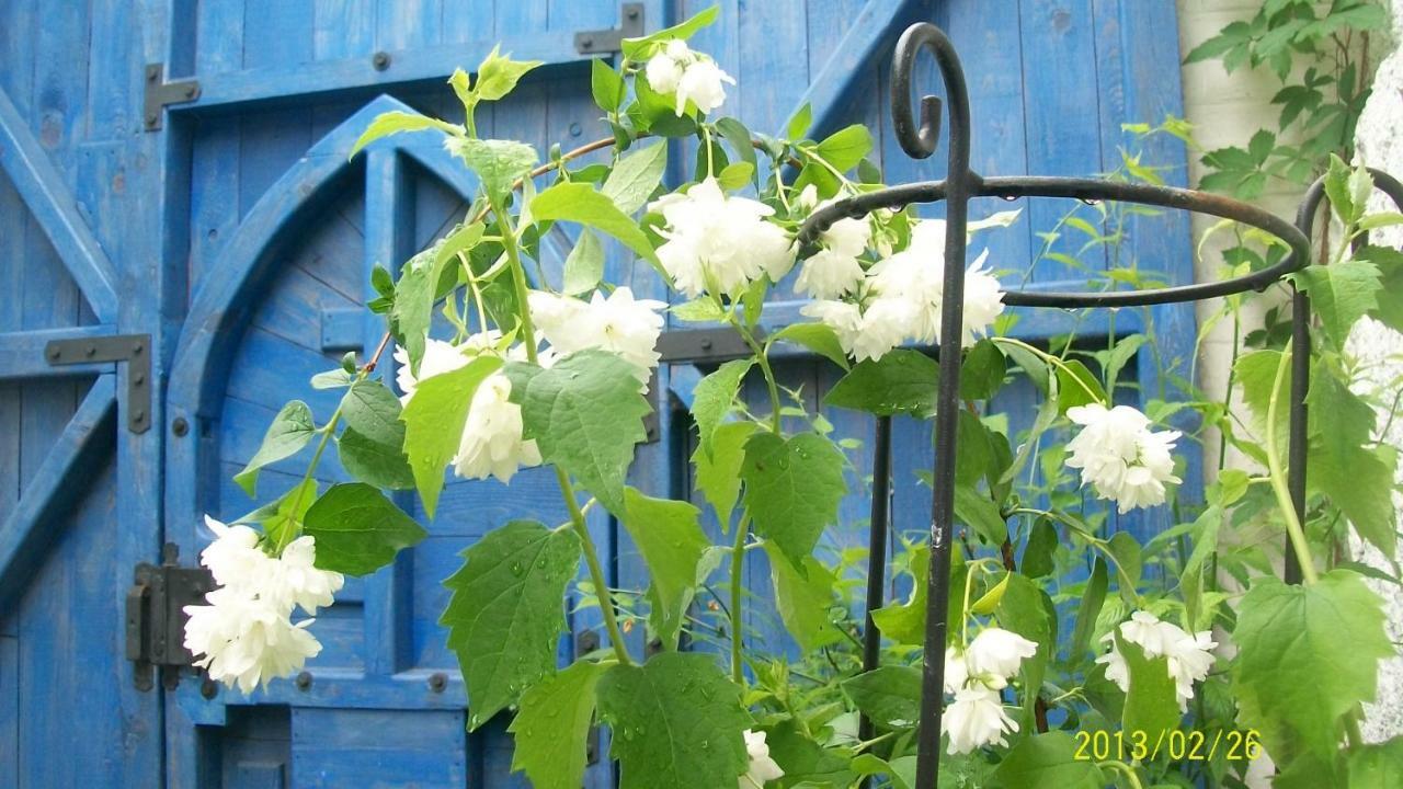 Casa Anca Cheile Nerei Villa Sokolar Екстериор снимка