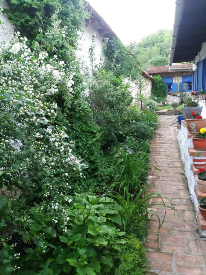 Casa Anca Cheile Nerei Villa Sokolar Екстериор снимка