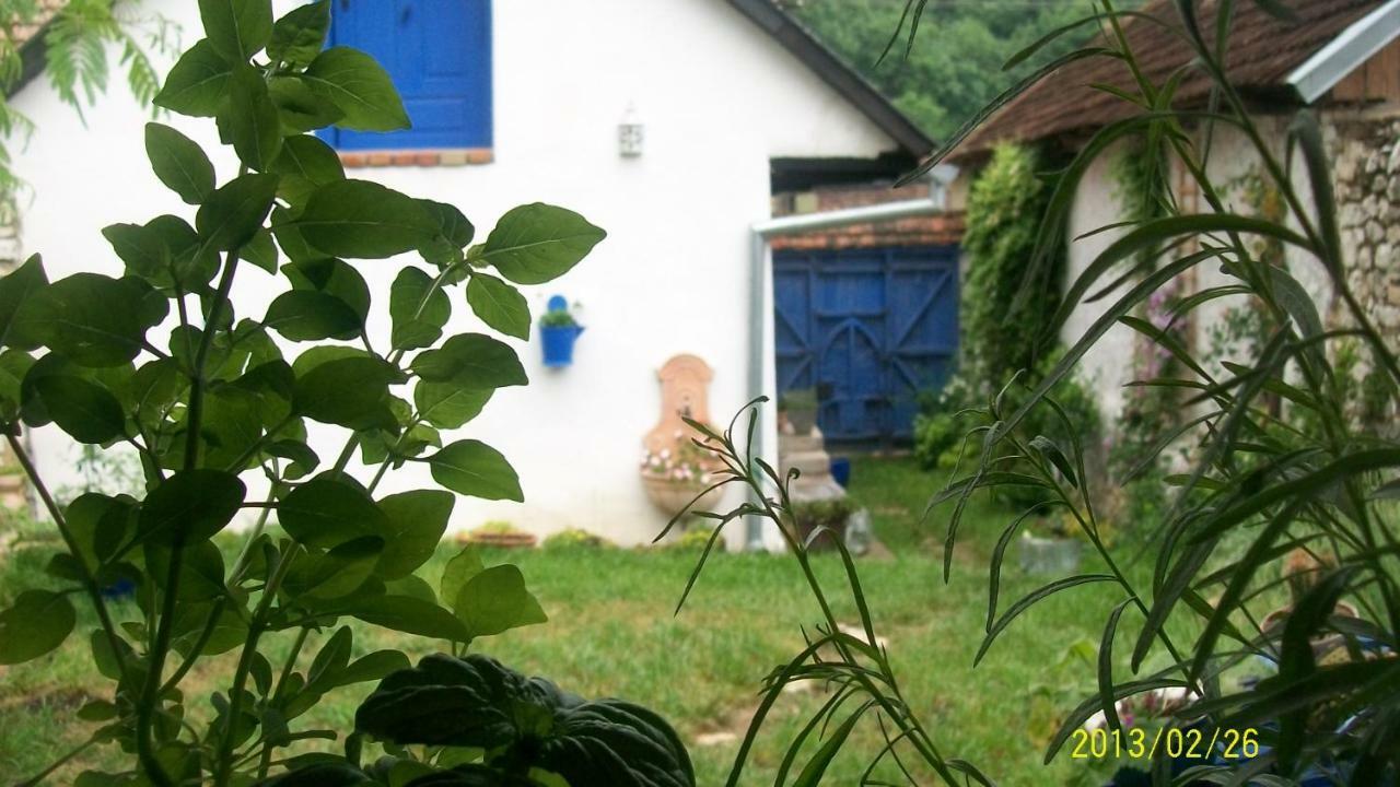 Casa Anca Cheile Nerei Villa Sokolar Екстериор снимка
