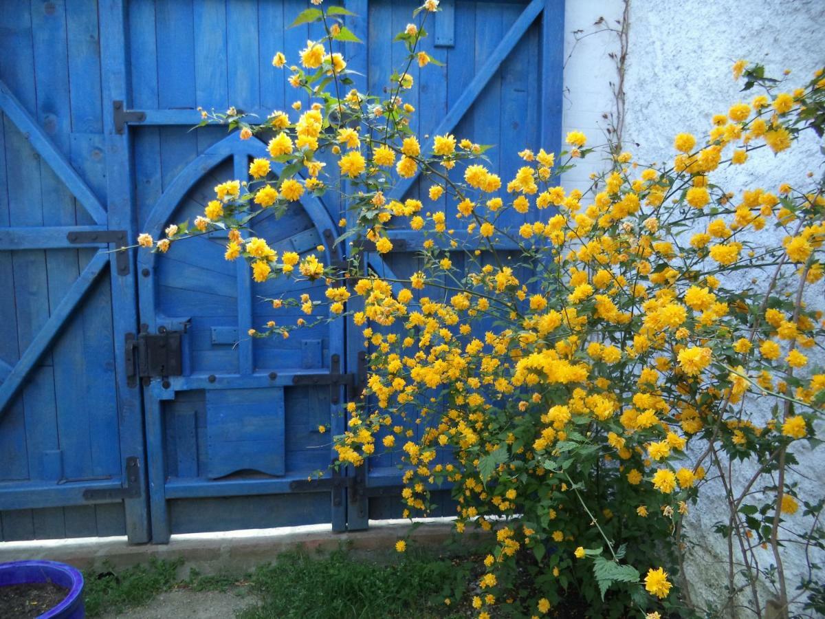 Casa Anca Cheile Nerei Villa Sokolar Екстериор снимка