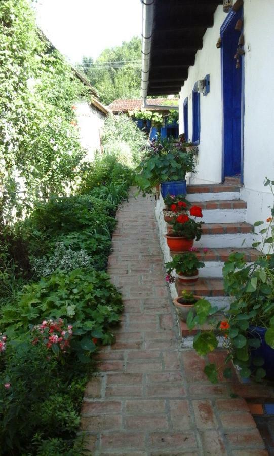 Casa Anca Cheile Nerei Villa Sokolar Екстериор снимка