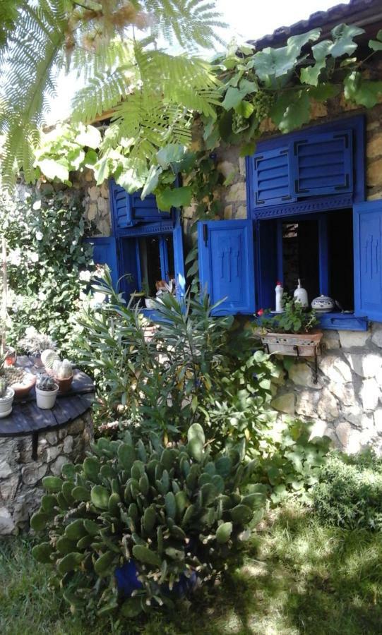 Casa Anca Cheile Nerei Villa Sokolar Екстериор снимка