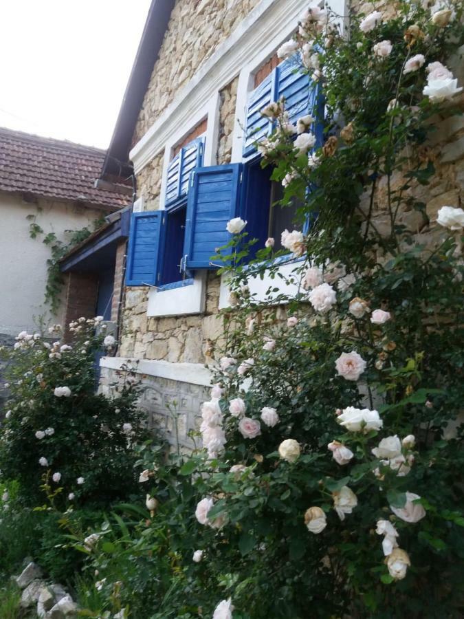 Casa Anca Cheile Nerei Villa Sokolar Екстериор снимка